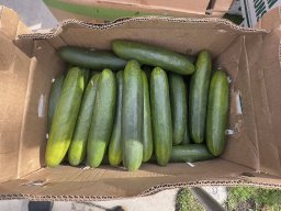 Food Bank Adultos Mayores Marzo 2025 &raquo; Food Bank Adultos Mayores Marzo 2025